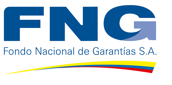 Fondo-Nacional-de-Garantías-FNG.png